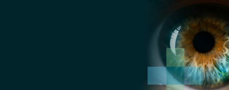 Laboratoire de Recherche CHAUVIN + LOMB